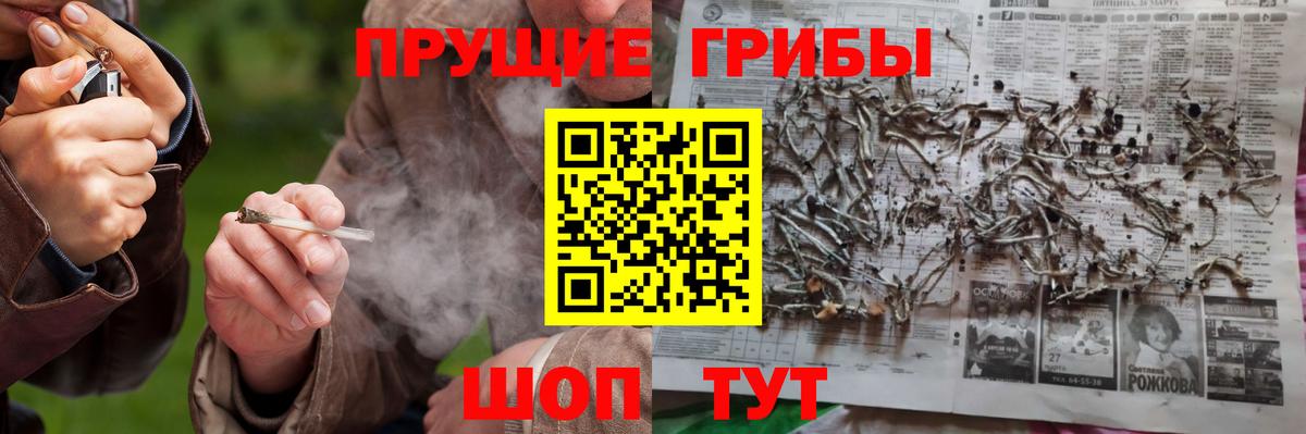 Галлюциногенные грибы Cubensis  Вход с VPN  как найти закладки  Пугачёв 
